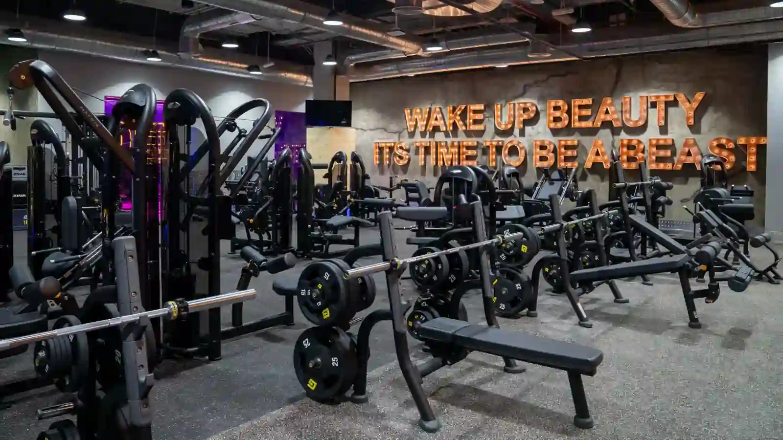 منطقة تدريب القوة في جيمنيشن تحتوي على أوزان حرة وجدار تحفيزي 