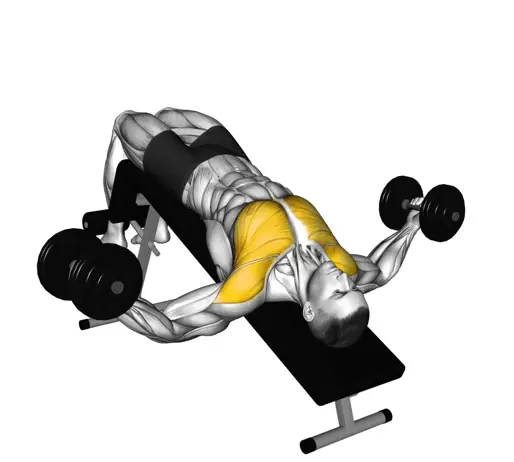 Dumbbell Decline Fly Thumb