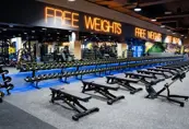 Al Ain Gym Free Wight Area