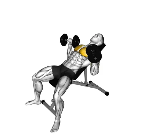 Dumbbell Incline Bench Press Thumbnail