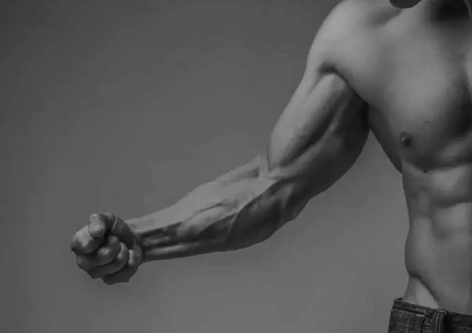 كيفية حساب سعرات التضخيم