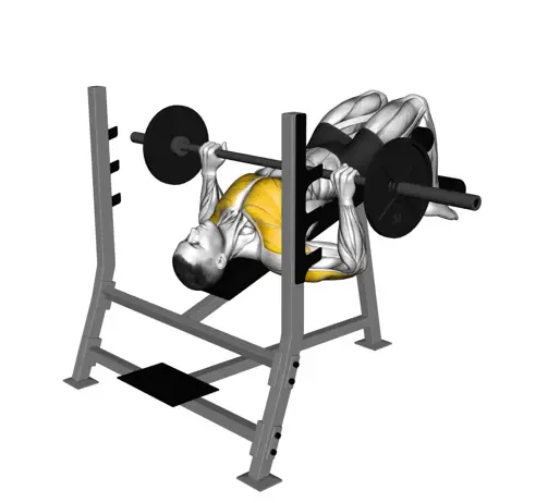 Barbell Decline Bench Press Thumbnail