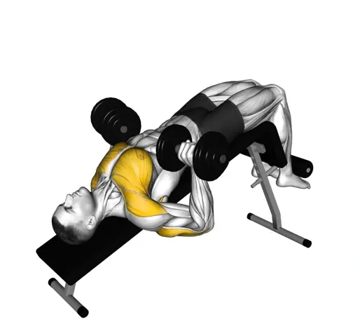 Dumbbell Decline Bench Press Thumbnail