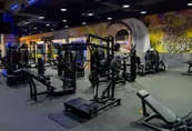 Gymnation Stars Avenue Mall Ladies Gym Functional Training Zone