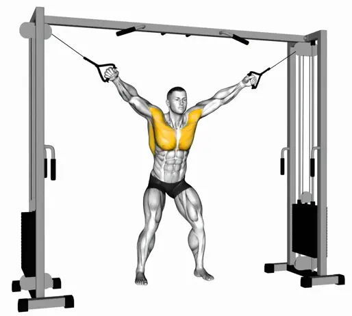 Cable Standing Fly Thumbnail