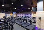 Gymnation Mega Mall Mens Cardio Zone