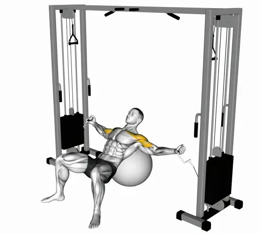 Cable Incline Fly (On Stability Ball) Thumb