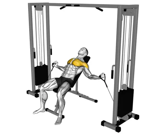 Cable Incline Fly Thumb