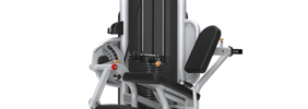 Leg Extension