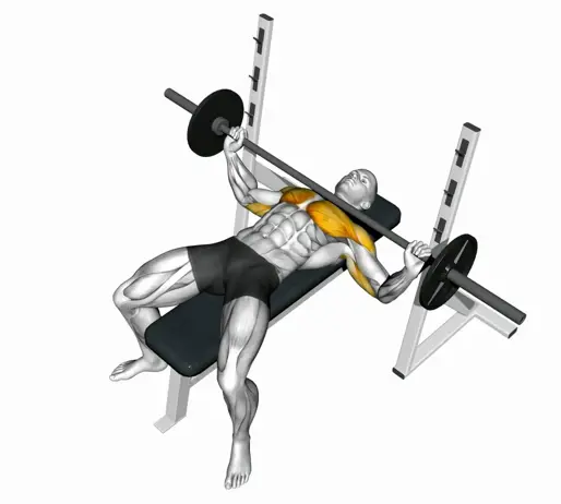 Barbell Wide Bench Press Thumb